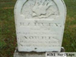 Harvey Norris