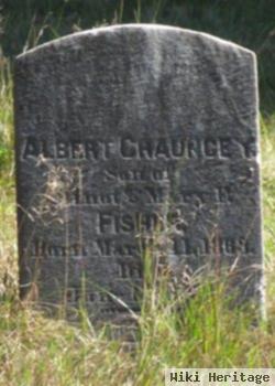 Albert Chauncey Fisher