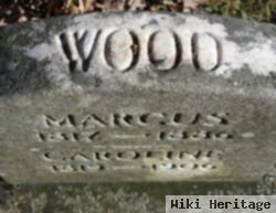 Caroline Knox Wood