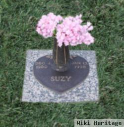 Suzanne Lee "suzy" Shelinbarger