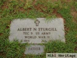 Albert Newt Sturgill