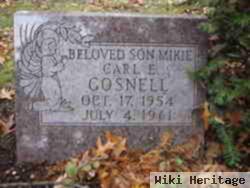 Carl E Gosnell