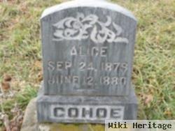 Alice Cohoe