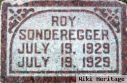 Roy Sonderegger