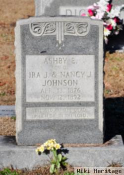 Ashby E Johnson