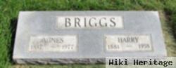 Agnes Briggs