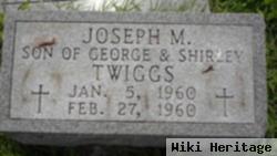 Joseph M. Twiggs