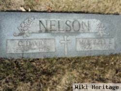 Carl David Nelson