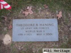 Theodore Roosevelt Haning