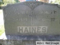 James W Haines