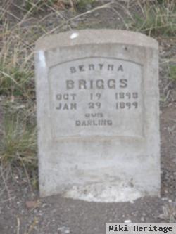 Bertha Briggs