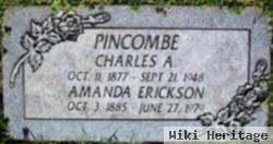 Amanda Erickson Pincombe