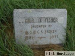 Nina A Fisher