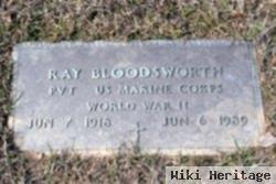 Ray Bloodsworth