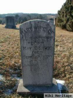 Mary Ann "polly" Hunt Mcinturff