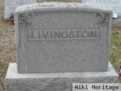 Annie Jane Hoke Livingston