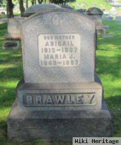 Maria J Brawley