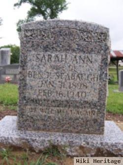 Sarah Ann Niswonger Seabaugh