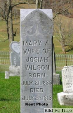 Mary Ann Blagg Wilson