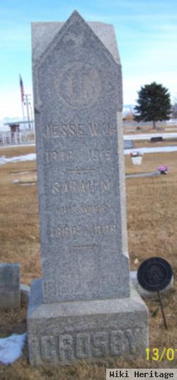 Sarah Ann Meeks Crosby