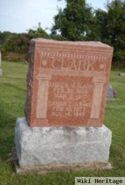 Sarah Ellen Hicklin Clark