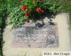 Duane A. Johnson