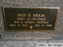 Bud E Nesja