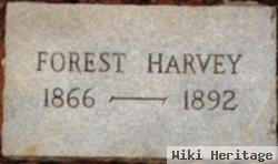 Forest Harvey