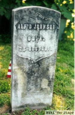 Alfred N. Johnson