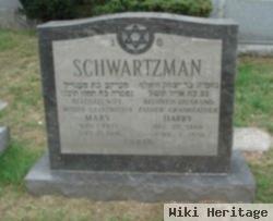 Harry Schwartzman