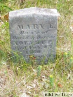 Mary E. Northup