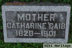 Catharine Souther Gaib