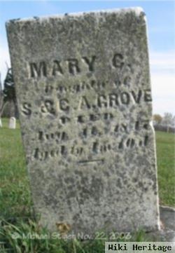 Mary C Grove