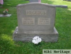 Stephen Hegedus