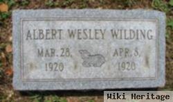 Albert Wesley Wilding