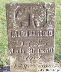 Jacob Harrold