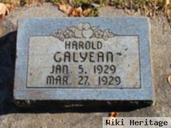 Harold Galyean