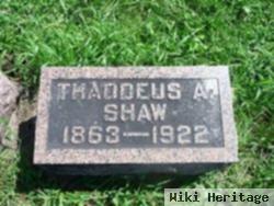 Thaddeus Augusta Shaw