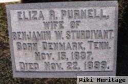 Eliza R. Purnell Sturdivant