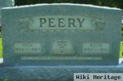 George Wayne Peery