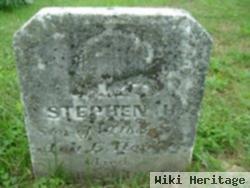 Stephen H Hazelett