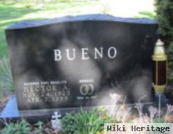 Hector A. Bueno