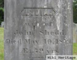 Lydia Wright Shedd