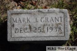 Mark J Grant