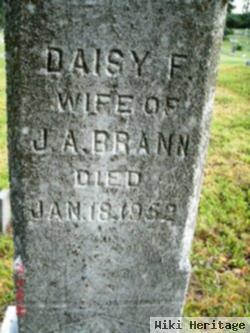 Daisy F Brann