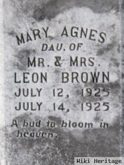 Mary Agnes Brown