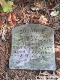 Susan E. Hopkins