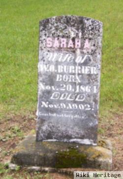 Sarah Alice Stewart Burrier