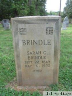 Sarah C Brindle