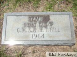 Tammy Hill